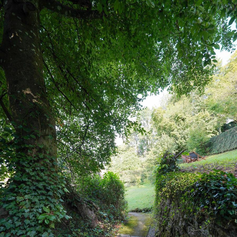 Les Terrasses Des Falizes B&B Rochefort Exteriér fotografie